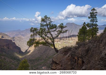 Gran Canaria,  October, View From A Hiking Path Across Valley Barranco De Juncal