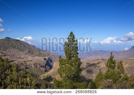 Gran Canaria,  October, View From A Hiking Path Across Valley Barranco De Juncal
