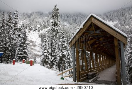 Drewniany kryty most Snowy drzewa Washington
