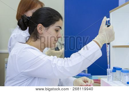 Young Scientist Works In Modern Biological Lab