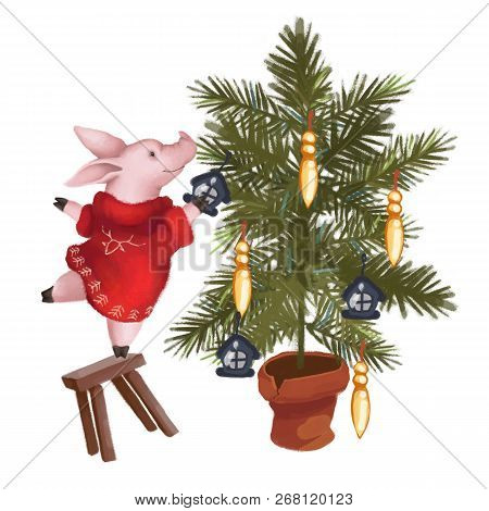A Pig In A Red Sweater With A Fur-tree Toy Will Dress Up A Christmas Tree Standing On A Stool. Chris