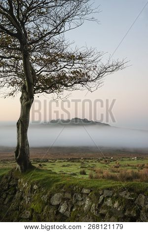 Stunning Foggy Sunrise Landscape Over The Tors In Dartmoor Revealing Peaks Through The Mist