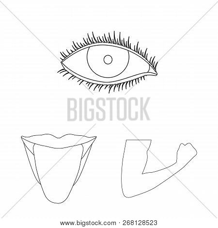 Vector Illustration Of Human And Part Sign. Set Of Human And Woman Vector Icon For Stock.