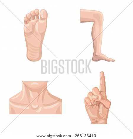 Isolated Object Of Human And Part Sign. Collection Of Human And Woman Stock Symbol For Web.