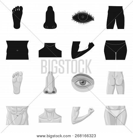 Vector Design Of Human And Part Logo. Collection Of Human And Woman Stock Vector Illustration.