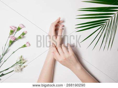 Beautiful Fashion Large Female Hands Put Cream On Clean Skin On White Background. Nature Leaves And 