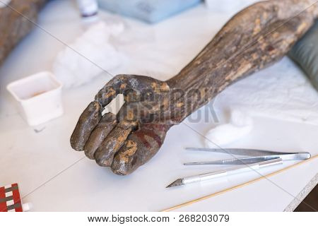 Restoration: Close Up. Conservation Of Paintings. Conservation Of Sculptures