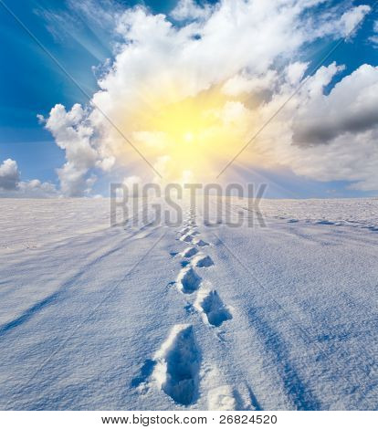 Tracce sulla neve