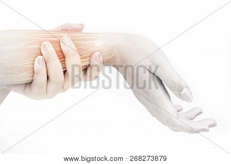 Forearm Muscle Injury White Background Forearm Pain