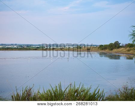 Shot of the natural reserve park at Granelli seaside place. The shot is taken at sunset in a summer 