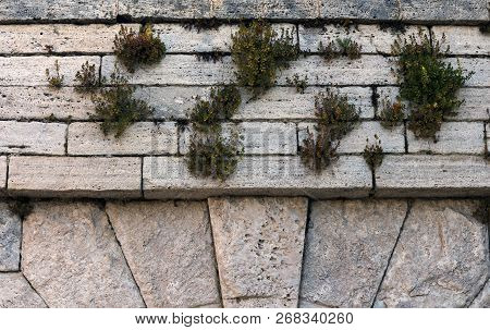 Grey Travertine Texture. Natural Rough Untreated And Unpolished Stone Wall With Grain Surface.
