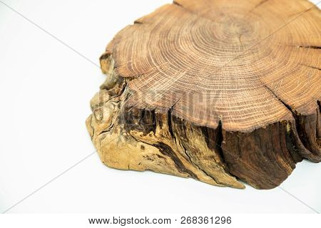Detailed Piece Of Circular Flat Cut Wood Showing Annual Rings, Cracks, Bark And Texture.cross Sectio