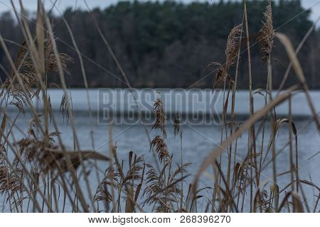 Pond Next To Schwandorf In Bavaria, Charlottenhofer Weihergebiet