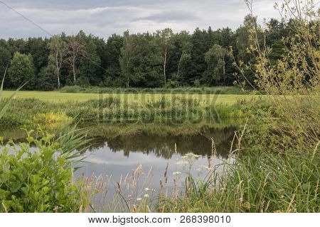 The River Naab On A Sunny Day In Spring, Next To Schwandorf In Bavaria