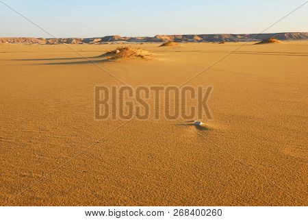 Sahara Desert Beautiful Landscape Nearby Dakhla Oasis In Egypt At Morning Light. Africa