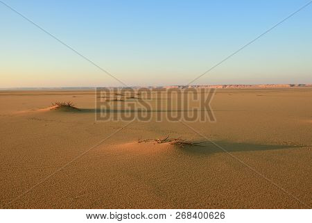 Sahara Desert Beautiful Landscape Nearby Dakhla Oasis In Egypt At Sunsert, Africa