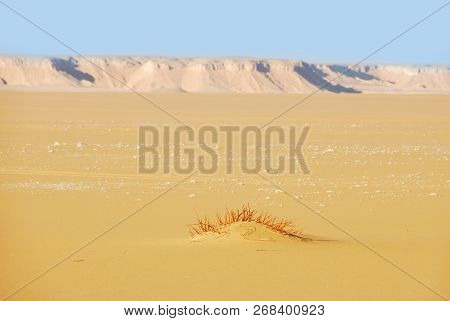 Sahara Desert Beautiful Landscape Nearby Dakhla Oasis In Egypt At Morning Light. Africa