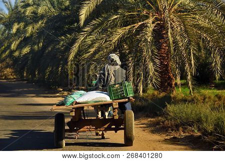 Egyptian Peasant Rides In A Cart