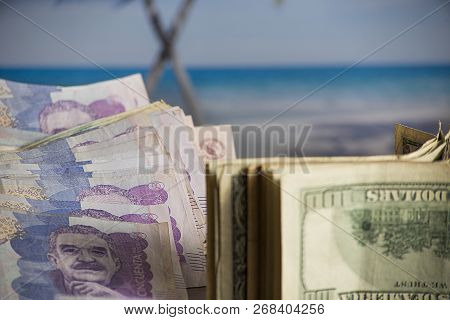 Money In The Foreground For Beach Holidays- Palm Trees Sun And Sea As Background