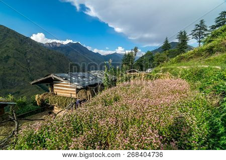 A Traditional Himalayan Wooden House In Sankri Range, Uttarakhand, India