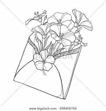 Vector Bouquet With Outline Flax Plant Or Linum In Open Craft Envelope. Flower Bunch, Bud And Leaf I