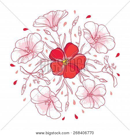 Vector Round Bouquet With Outline Flax Plant Or Linseed Or Linum Flower, Bud And Leaf In Pastel Red 