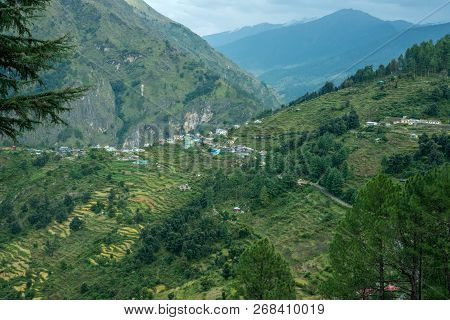 Step Farming In Mountains - Sankri Range, Uttarakhand, India