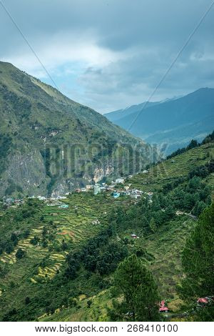Step Farming In Mountains - Sankri Range, Uttarakhand, India