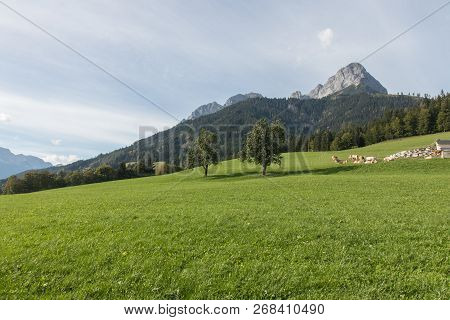 Beautiful Mountain Landscape Next To Werfenweng In The Salzburger Land