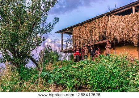 Sankri Range, Uttarakhand, India - October 7, 2018 : Photo Of Group Of Village Kids Boy And Girl In 