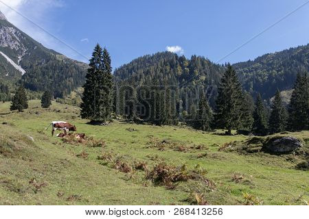 Beautiful Mountain Landscape Next To Werfenweng In The Salzburger Land