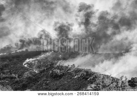 Black And White Abstract Landscape Of Hillside On Fire.