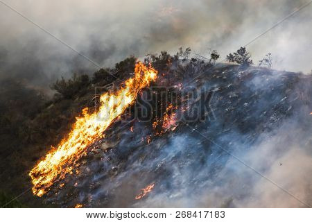 Bright Orange Flames And Smoke On Burning Hillside During California Wildfire.