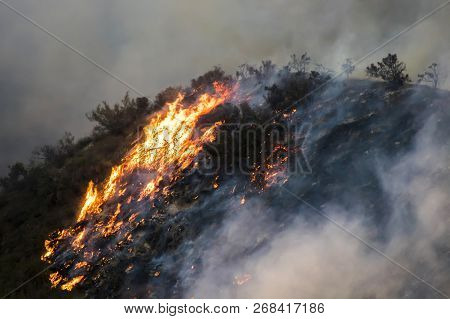 Bright Orange Flames Burn Hillside Of Brush And Trees During California Fire.