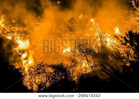 Bright Orange Flames Burning Hillside In Close Up Image Of California Fires.