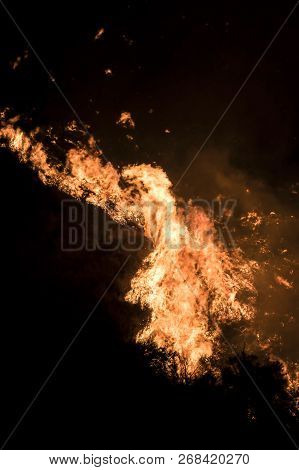 Close Up Bright Orange Flames Burning Brush At Night During California Wildfire.