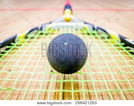 Single Dot Squash Ball On Racquet Stings