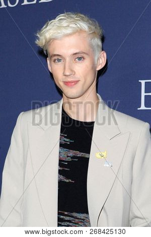 WEST HOLLYWOOD - OCT 29: Troye Siv arriving at the Premiere of Boy Erased at the Directors Guild of America on October 29, 2016 in West Hollywood, California