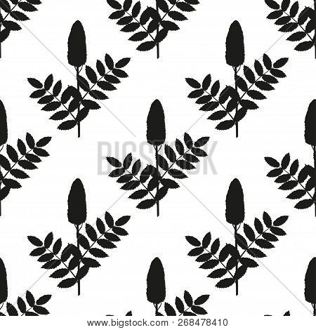 Sumac. Plant. Background, Wallpaper, Seamless. Sketch. Black, Silhouette.