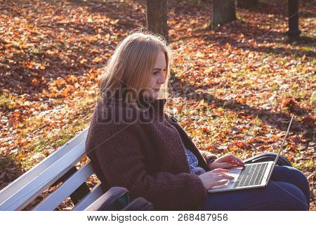 Business Woman Work On Laptop And Solve Proplem On Phone Call In Autumn Park