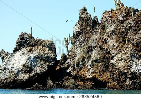 Volcanic Rock - Floreana Island - Galapagos
