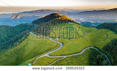 Sunrise Landscape Nature Of Golden Mountain By Mexican Sunflower Field Name Tung Bua Tong In Maehong