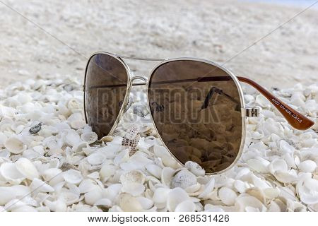 Sunglasses At The Shellbeach In Sharkbay, Western Australia