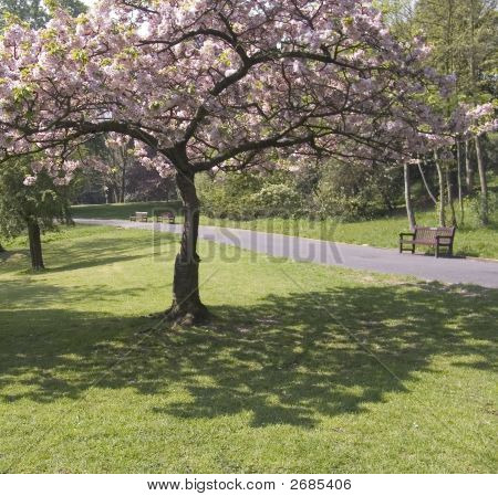 Park
