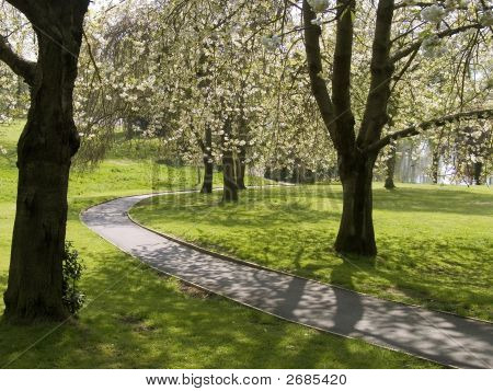 Park