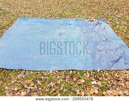 Blue Tarp On Grass Or Lawn With Brown Leaves