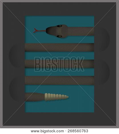 A Snake Looks Like Lines On A Page In This Interesting Look At Serpents. This Is A Color Illustratio