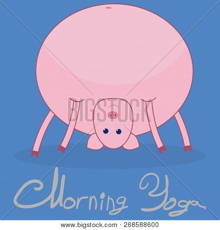 Morning Yoga With A Pig. The Pig Stands In The Pose Of The Bridge. Blue Background. The Gray Text Un