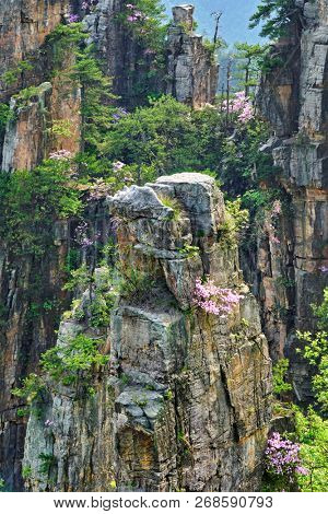 Famous tourist attraction of China - Zhangjiajie stone pillars cliff mountains on sunset at Wulingyuan, Hunan, China