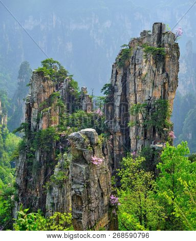 Famous tourist attraction of China - Zhangjiajie stone pillars cliff mountains on sunset at Wulingyuan, Hunan, China